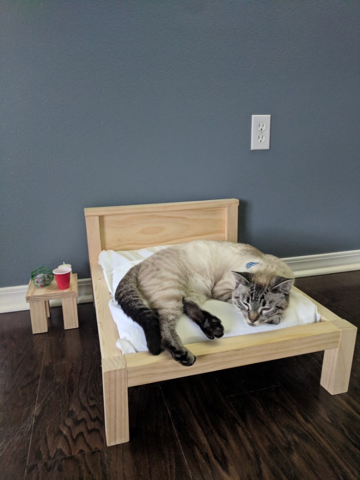 Wife Is Dying From Laughter After Finding Out The Bed Her Husband Was Building Is For The Cat, Not For Them Wife Is Dying From Laughter After Finding Out The Bed Her Husband Was Building Is For The Cat, Not For Them