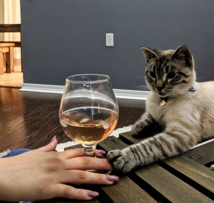 Wife Is Dying From Laughter After Finding Out The Bed Her Husband Was Building Is For The Cat, Not For Them Wife Is Dying From Laughter After Finding Out The Bed Her Husband Was Building Is For The Cat, Not For Them