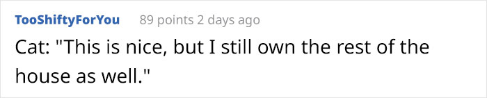 Wife Is Dying From Laughter After Finding Out The Bed Her Husband Was Building Is For The Cat, Not For Them Wife Is Dying From Laughter After Finding Out The Bed Her Husband Was Building Is For The Cat, Not For Them