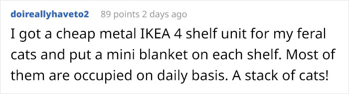 Wife Is Dying From Laughter After Finding Out The Bed Her Husband Was Building Is For The Cat, Not For Them Wife Is Dying From Laughter After Finding Out The Bed Her Husband Was Building Is For The Cat, Not For Them