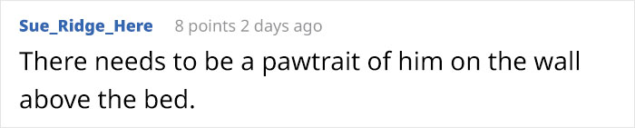 Wife Is Dying From Laughter After Finding Out The Bed Her Husband Was Building Is For The Cat, Not For Them Wife Is Dying From Laughter After Finding Out The Bed Her Husband Was Building Is For The Cat, Not For Them