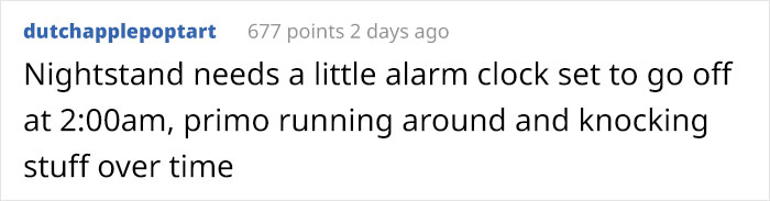 Wife Is Dying From Laughter After Finding Out The Bed Her Husband Was Building Is For The Cat, Not For Them Wife Is Dying From Laughter After Finding Out The Bed Her Husband Was Building Is For The Cat, Not For Them
