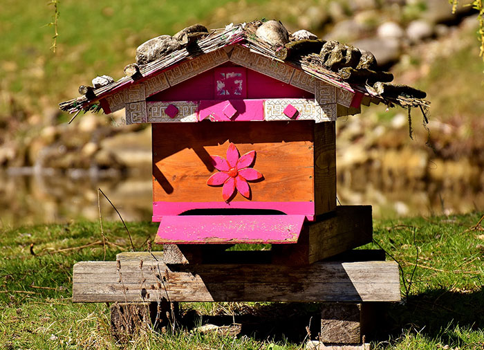 8 Small Things You Can Do To Help Bees Survive 8 Small Things You Can Do To Help Bees Survive