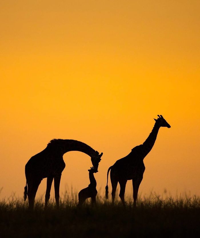 Top 30 Most Stunning Photos From The National Geographic Instagram Photography Contest Top 30 Most Stunning Photos From The National Geographic Instagram Photography Contest