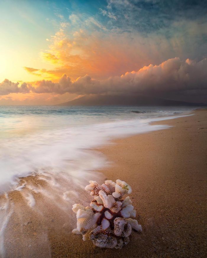 Top 30 Most Stunning Photos From The National Geographic Instagram Photography Contest Top 30 Most Stunning Photos From The National Geographic Instagram Photography Contest