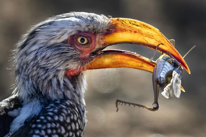 Top 30 Most Stunning Photos From The National Geographic Instagram Photography Contest Top 30 Most Stunning Photos From The National Geographic Instagram Photography Contest