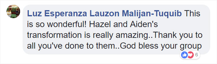 These Abused Dogs Were Rescued From The Streets By A Shelter And Made A Spectacular Recovery These Abused Dogs Were Rescued From The Streets By A Shelter And Made A Spectacular Recovery