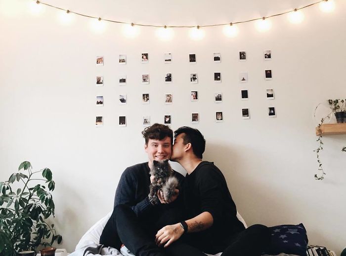 Meet Merlin, The Water-Bottle-Sized 2-Year-Old Kitty That Is Taking Over Twitter Because Of His Pure Beauty