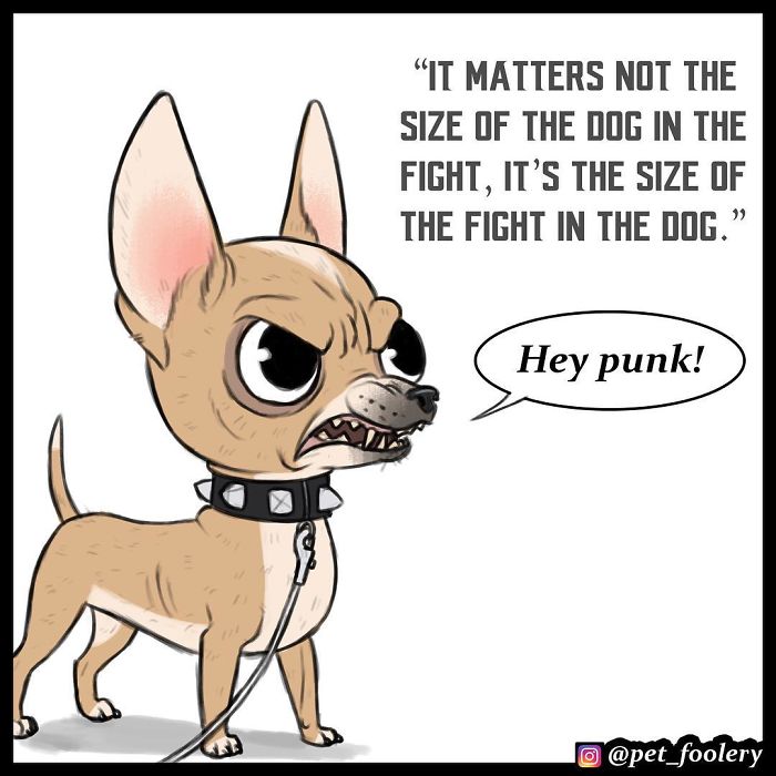 Pixie And Brutus Comics Already Have Over 1,4M Followers And These Are Their 6 Newest Strips Pixie And Brutus Comics Already Have Over 1,4M Followers And These Are Their 6 Newest Strips