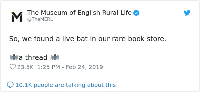 UK Library Museum Posts Hilarious Twitter Thread About A Bat Found In Their Store UK Library Museum Posts Hilarious Twitter Thread About A Bat Found In Their Store