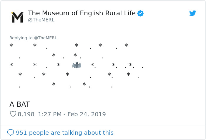 UK Library Museum Posts Hilarious Twitter Thread About A Bat Found In Their Store UK Library Museum Posts Hilarious Twitter Thread About A Bat Found In Their Store