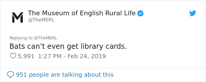 UK Library Museum Posts Hilarious Twitter Thread About A Bat Found In Their Store UK Library Museum Posts Hilarious Twitter Thread About A Bat Found In Their Store