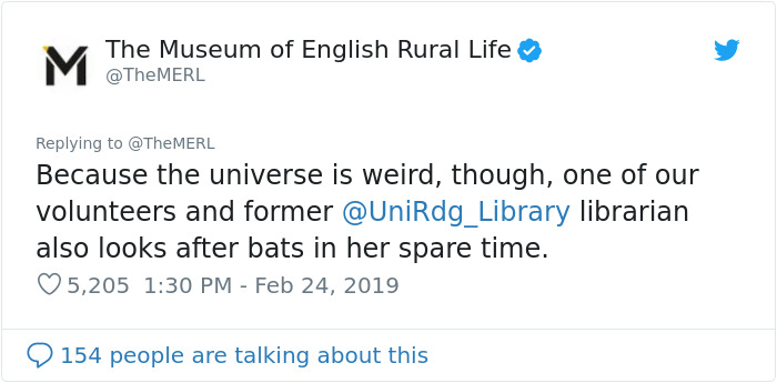 UK Library Museum Posts Hilarious Twitter Thread About A Bat Found In Their Store UK Library Museum Posts Hilarious Twitter Thread About A Bat Found In Their Store