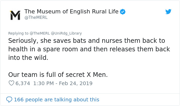 UK Library Museum Posts Hilarious Twitter Thread About A Bat Found In Their Store UK Library Museum Posts Hilarious Twitter Thread About A Bat Found In Their Store