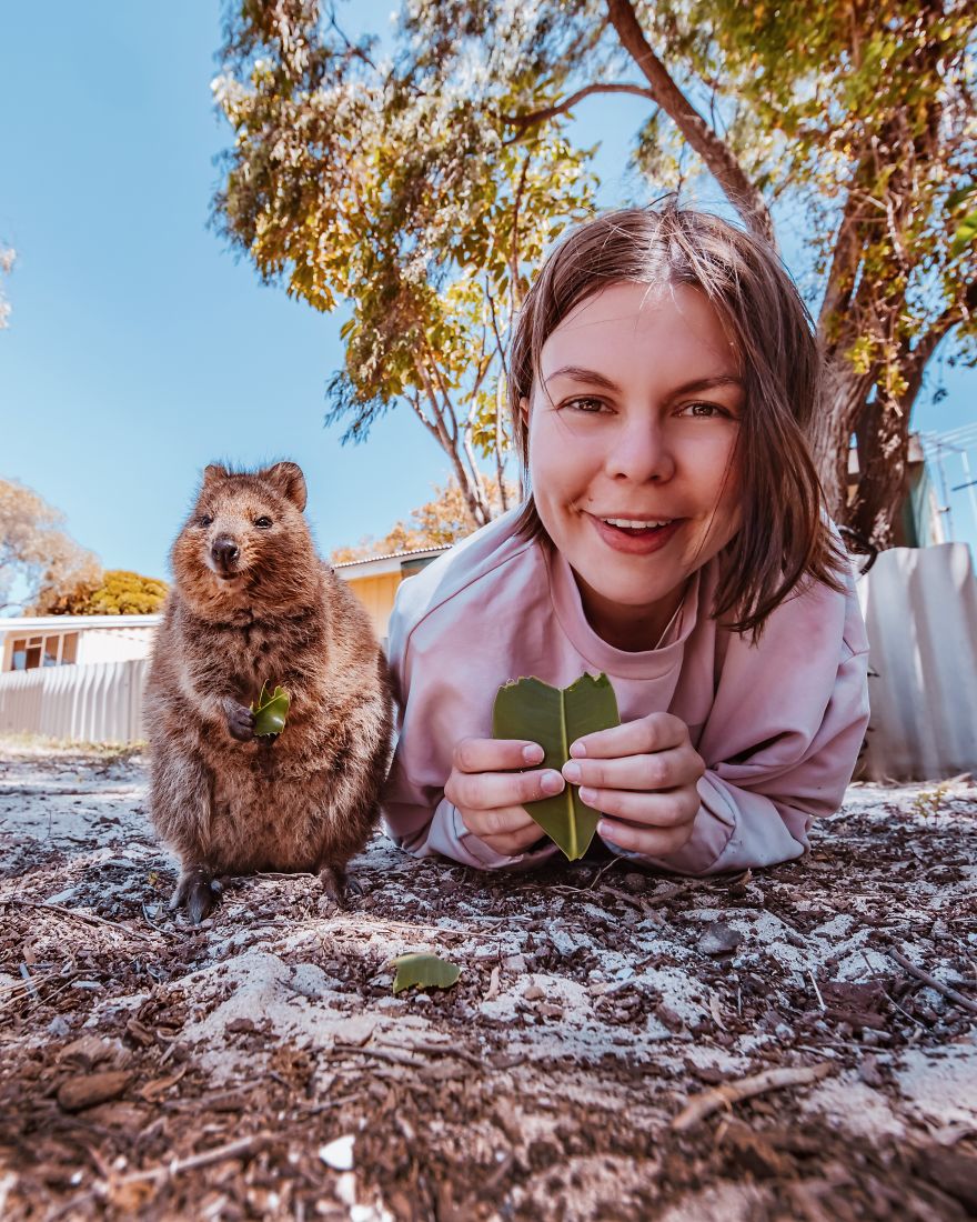 I Flew 25 Hours To Australia Just To See The Cutest Animals In The World &#8211; Quokkas