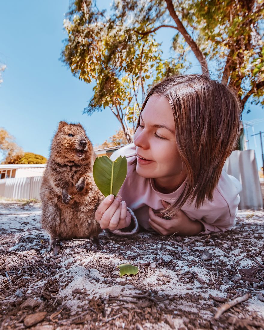 I Flew 25 Hours To Australia Just To See The Cutest Animals In The World &#8211; Quokkas