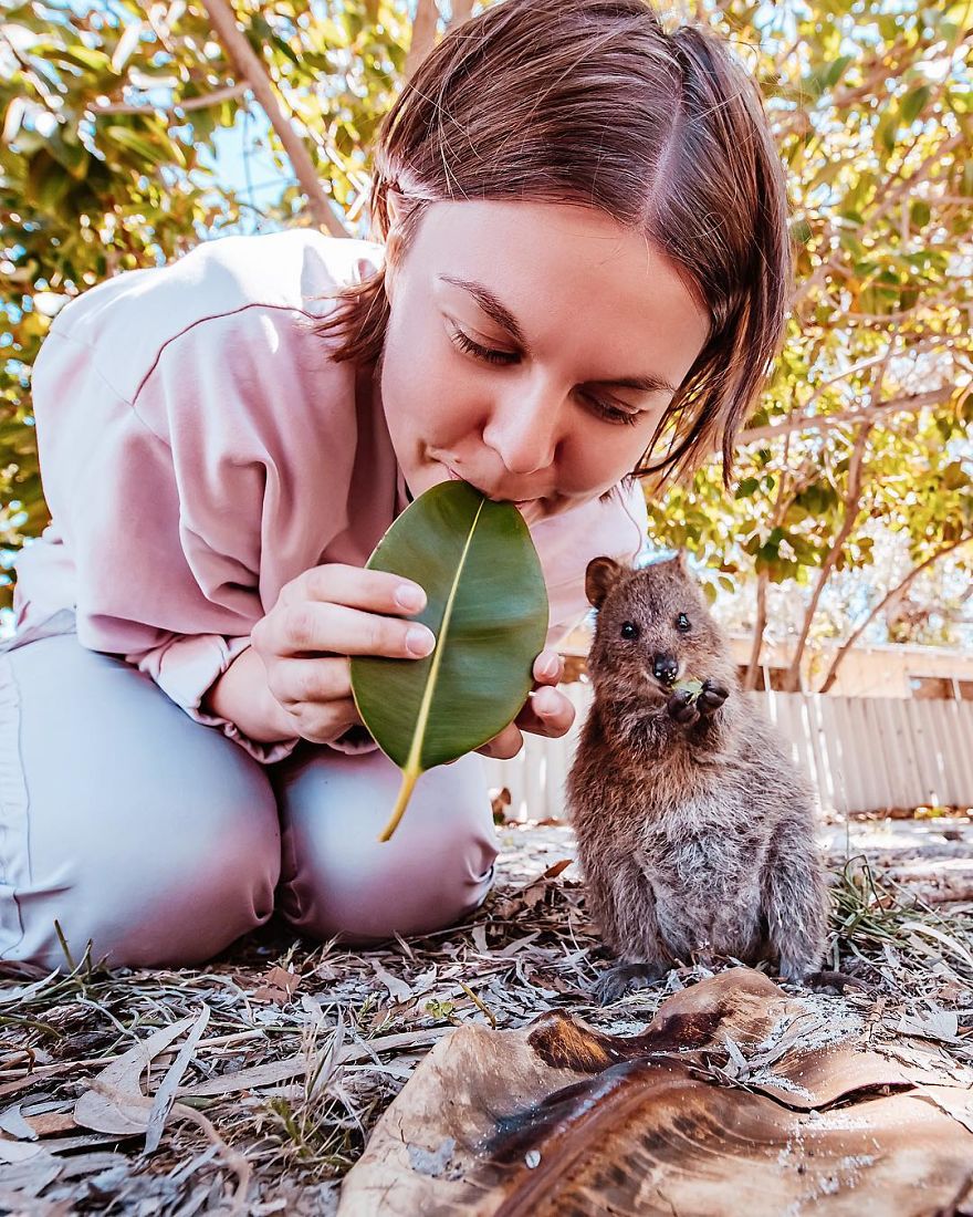 I Flew 25 Hours To Australia Just To See The Cutest Animals In The World &#8211; Quokkas