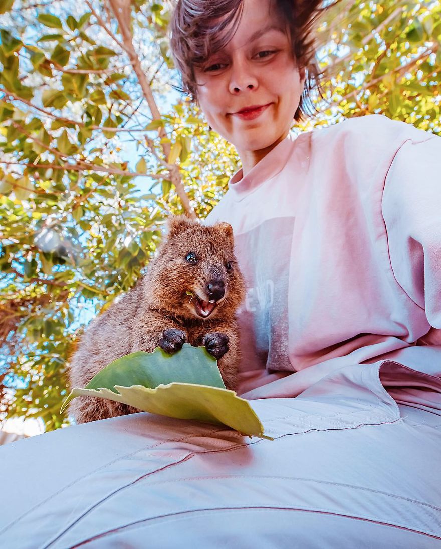 I Flew 25 Hours To Australia Just To See The Cutest Animals In The World &#8211; Quokkas