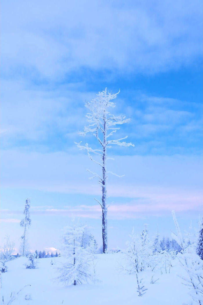 I Captured The Beautiful Winter In The Northern Part Of Sweden