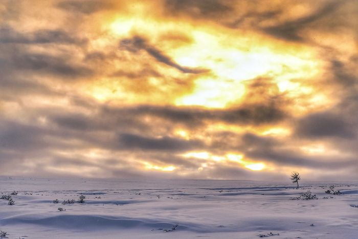 I Captured The Beautiful Winter In The Northern Part Of Sweden