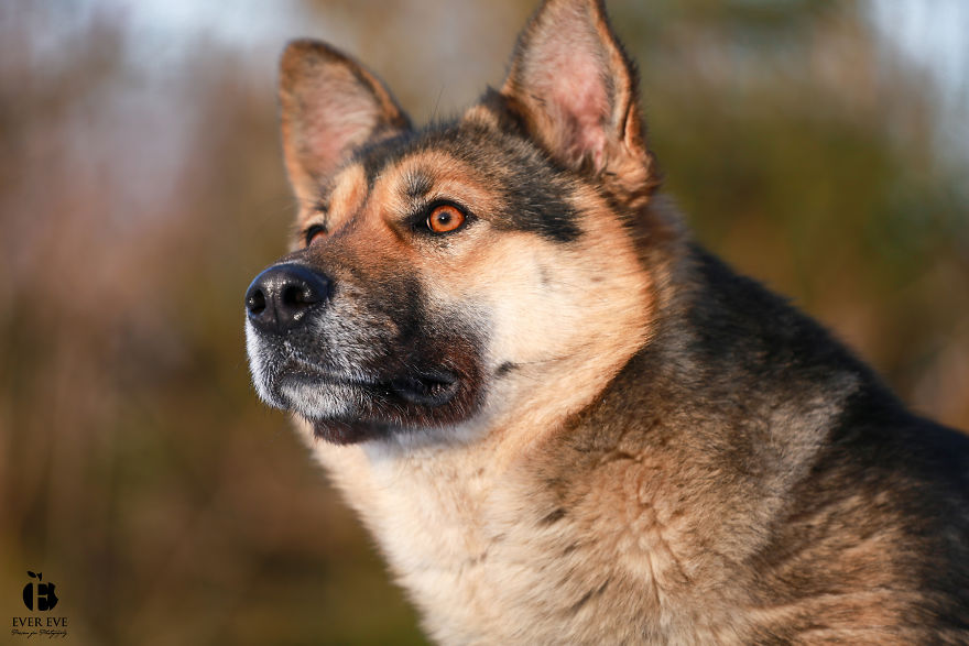 I Found Her In A Plastic Bag And Now She Is Making My Life Whole I Found Her In A Plastic Bag And Now She Is Making My Life Whole