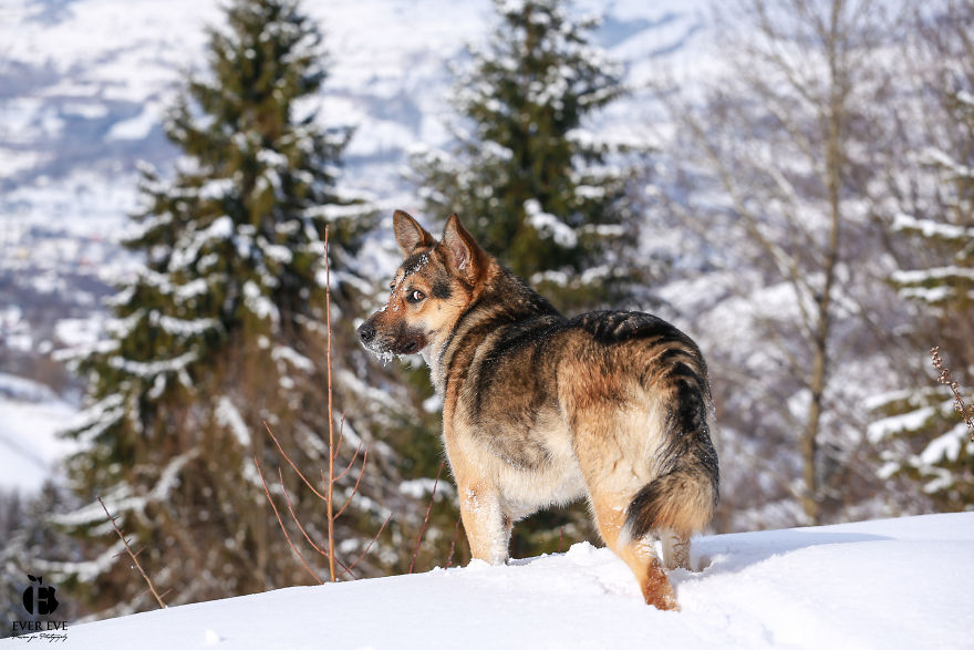 I Found Her In A Plastic Bag And Now She Is Making My Life Whole I Found Her In A Plastic Bag And Now She Is Making My Life Whole