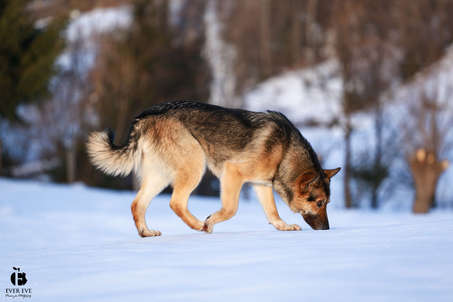 I Found Her In A Plastic Bag And Now She Is Making My Life Whole I Found Her In A Plastic Bag And Now She Is Making My Life Whole