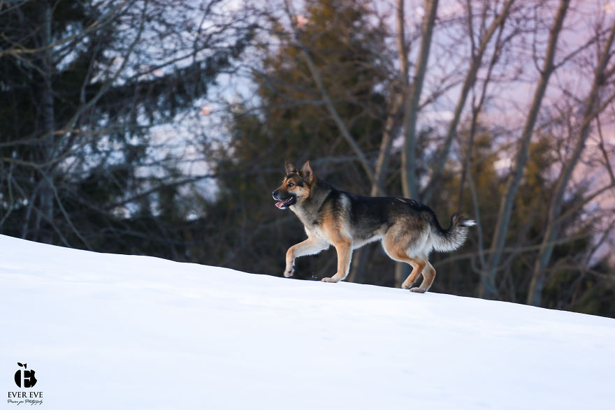 I Found Her In A Plastic Bag And Now She Is Making My Life Whole I Found Her In A Plastic Bag And Now She Is Making My Life Whole