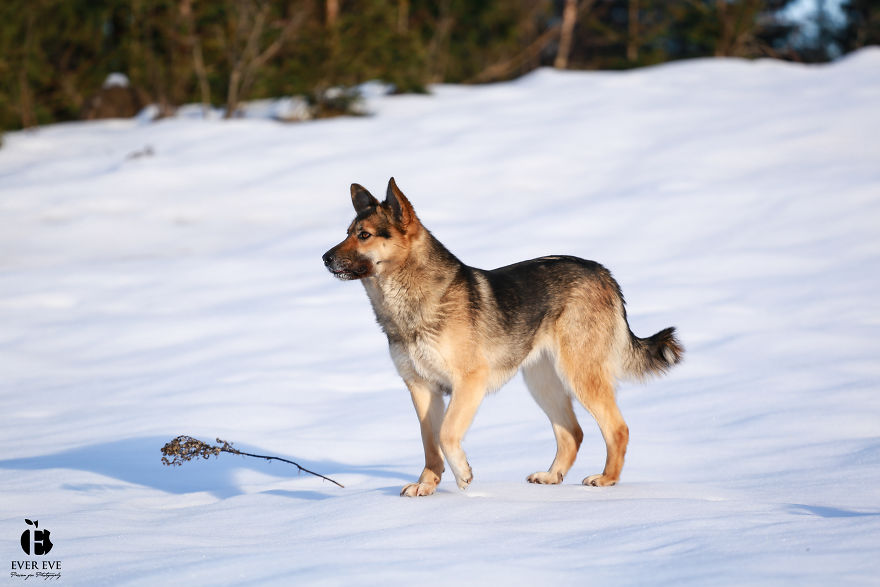 I Found Her In A Plastic Bag And Now She Is Making My Life Whole I Found Her In A Plastic Bag And Now She Is Making My Life Whole