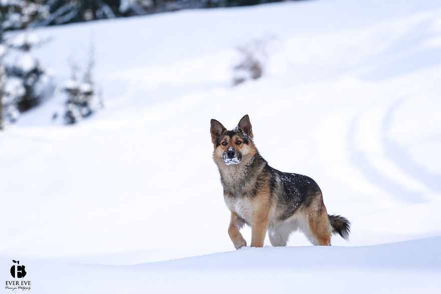 I Found Her In A Plastic Bag And Now She Is Making My Life Whole I Found Her In A Plastic Bag And Now She Is Making My Life Whole