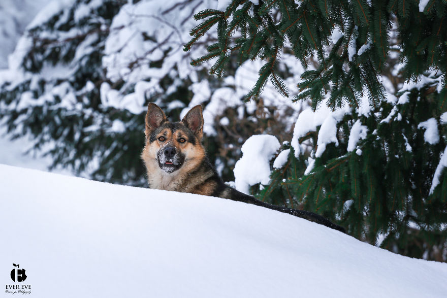 I Found Her In A Plastic Bag And Now She Is Making My Life Whole I Found Her In A Plastic Bag And Now She Is Making My Life Whole