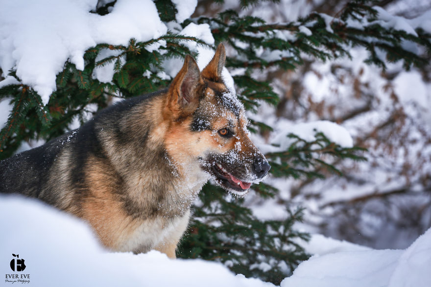 I Found Her In A Plastic Bag And Now She Is Making My Life Whole I Found Her In A Plastic Bag And Now She Is Making My Life Whole