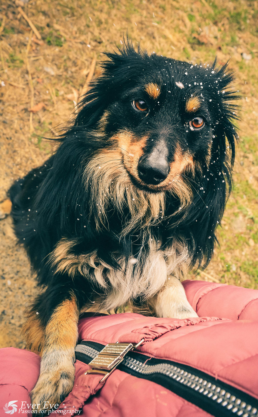 I Found Her In A Plastic Bag And Now She Is Making My Life Whole I Found Her In A Plastic Bag And Now She Is Making My Life Whole