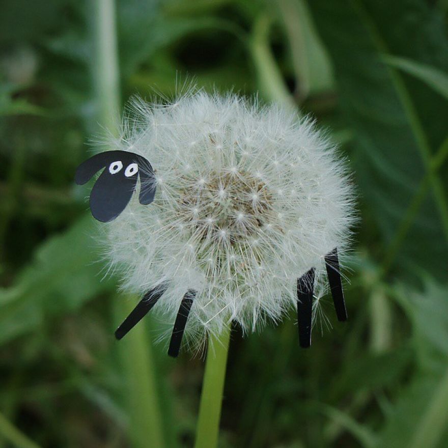 Russian Artist Transforms Everyday Objects Into “Something Else” Russian Artist Transforms Everyday Objects Into “Something Else”