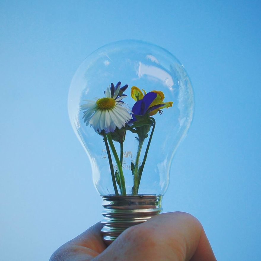 Russian Artist Transforms Everyday Objects Into “Something Else” Russian Artist Transforms Everyday Objects Into “Something Else”