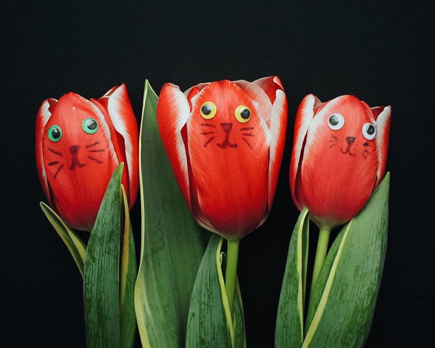 Russian Artist Transforms Everyday Objects Into “Something Else” Russian Artist Transforms Everyday Objects Into “Something Else”