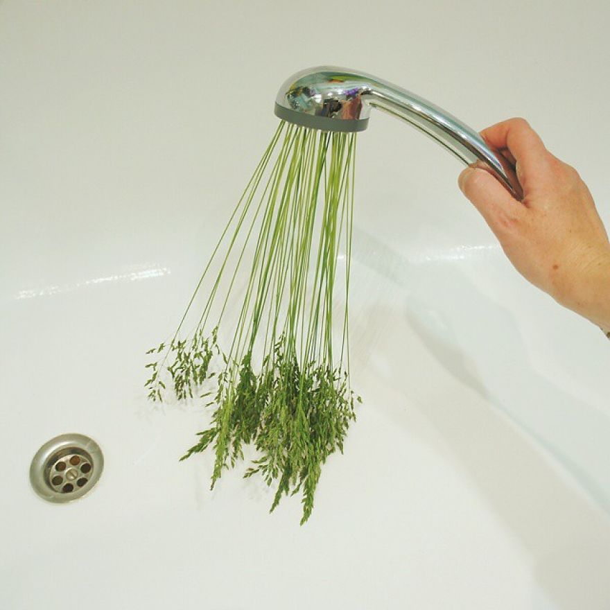 Russian Artist Transforms Everyday Objects Into “Something Else” Russian Artist Transforms Everyday Objects Into “Something Else”