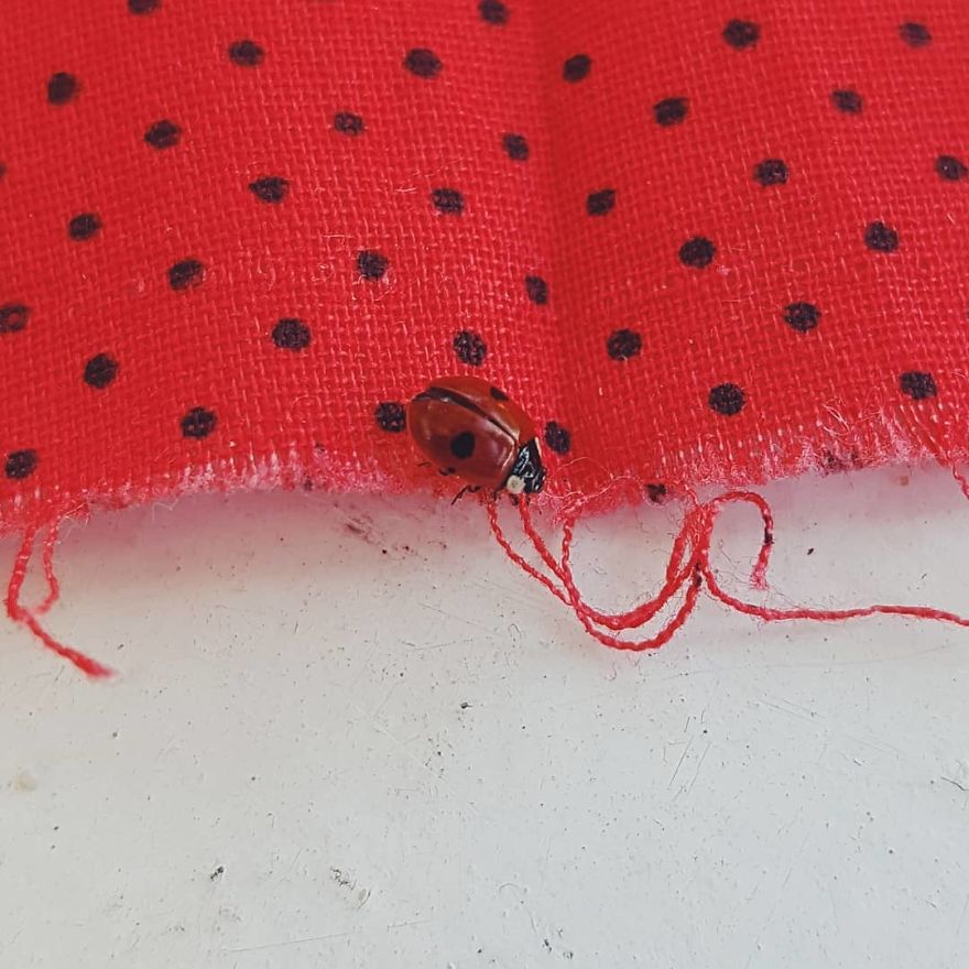 Russian Artist Transforms Everyday Objects Into “Something Else” Russian Artist Transforms Everyday Objects Into “Something Else”