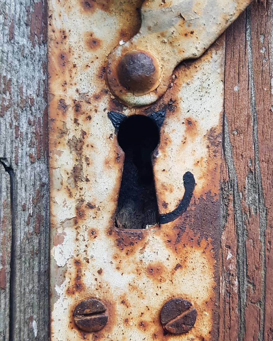 Russian Artist Transforms Everyday Objects Into “Something Else” Russian Artist Transforms Everyday Objects Into “Something Else”