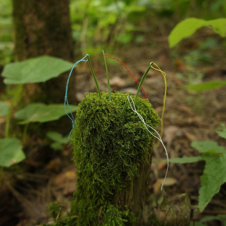 Russian Artist Transforms Everyday Objects Into “Something Else” Russian Artist Transforms Everyday Objects Into “Something Else”