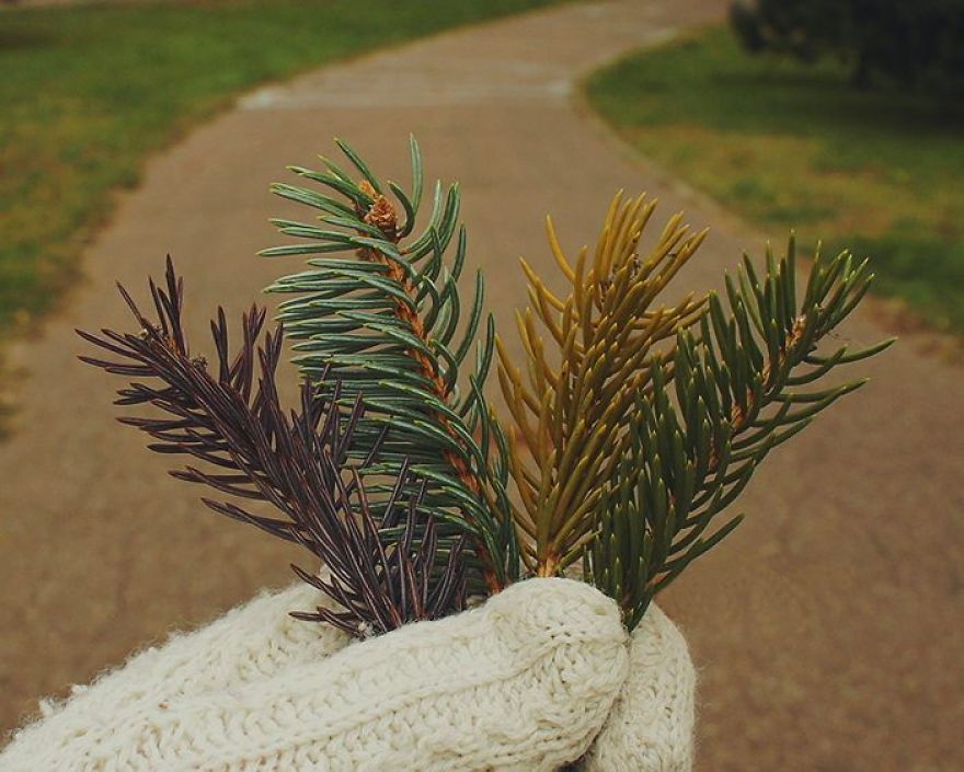 Russian Artist Transforms Everyday Objects Into “Something Else” Russian Artist Transforms Everyday Objects Into “Something Else”