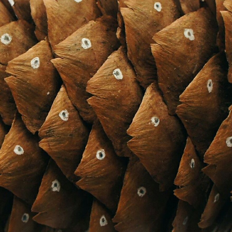 Russian Artist Transforms Everyday Objects Into “Something Else” Russian Artist Transforms Everyday Objects Into “Something Else”