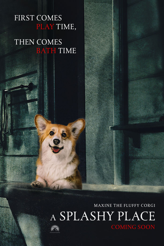 Corgi Gets Photoshopped Into Popular Movie Posters (13 Pics) Corgi Gets Photoshopped Into Popular Movie Posters (13 Pics)