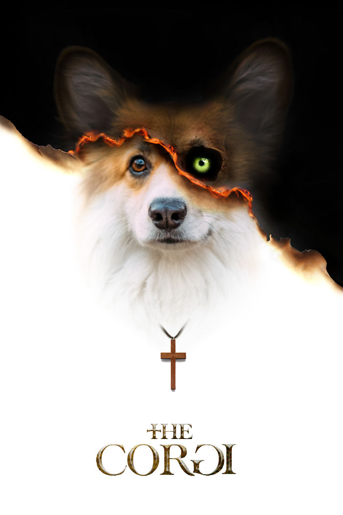 Corgi Gets Photoshopped Into Popular Movie Posters (13 Pics) Corgi Gets Photoshopped Into Popular Movie Posters (13 Pics)