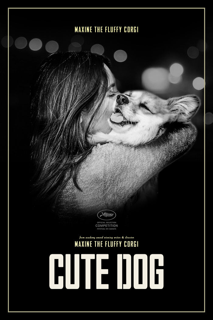 Corgi Gets Photoshopped Into Popular Movie Posters (13 Pics) Corgi Gets Photoshopped Into Popular Movie Posters (13 Pics)