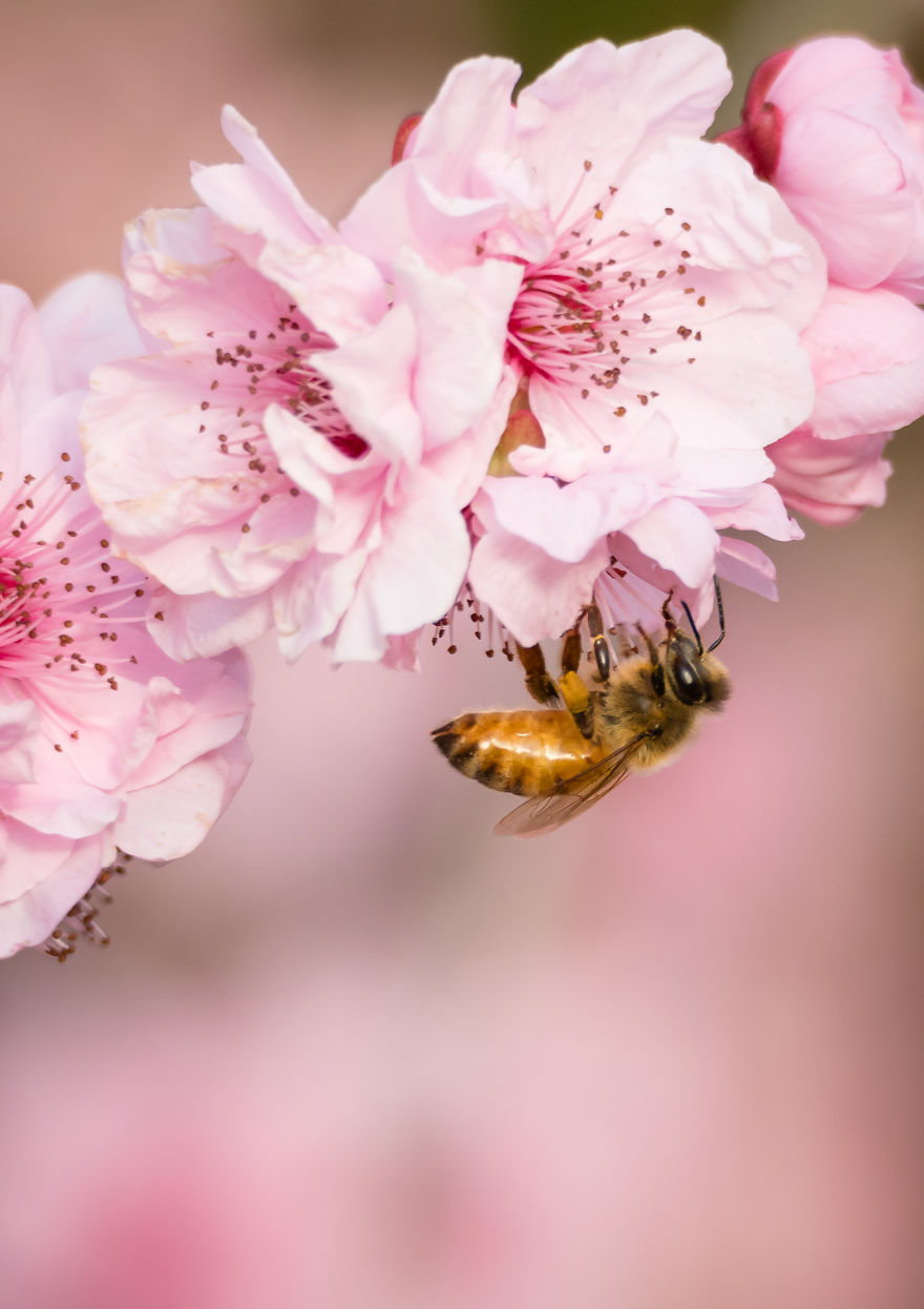 I Created A ‘Photographer’s Garden’ In My Backyard Because My Life Was Too Busy For Travel I Created A ‘Photographer’s Garden’ In My Backyard Because My Life Was Too Busy For Travel