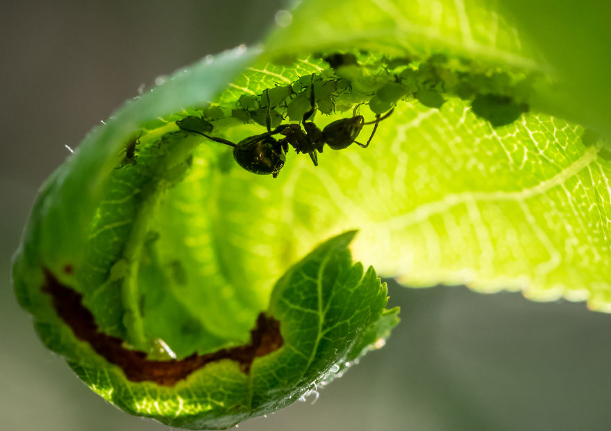 I Created A ‘Photographer’s Garden’ In My Backyard Because My Life Was Too Busy For Travel I Created A ‘Photographer’s Garden’ In My Backyard Because My Life Was Too Busy For Travel