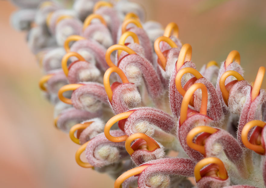 I Created A ‘Photographer’s Garden’ In My Backyard Because My Life Was Too Busy For Travel I Created A ‘Photographer’s Garden’ In My Backyard Because My Life Was Too Busy For Travel