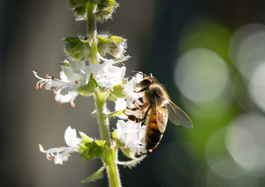 I Created A ‘Photographer’s Garden’ In My Backyard Because My Life Was Too Busy For Travel I Created A ‘Photographer’s Garden’ In My Backyard Because My Life Was Too Busy For Travel