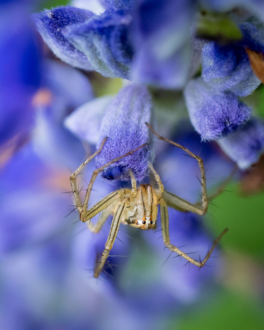I Created A ‘Photographer’s Garden’ In My Backyard Because My Life Was Too Busy For Travel I Created A ‘Photographer’s Garden’ In My Backyard Because My Life Was Too Busy For Travel